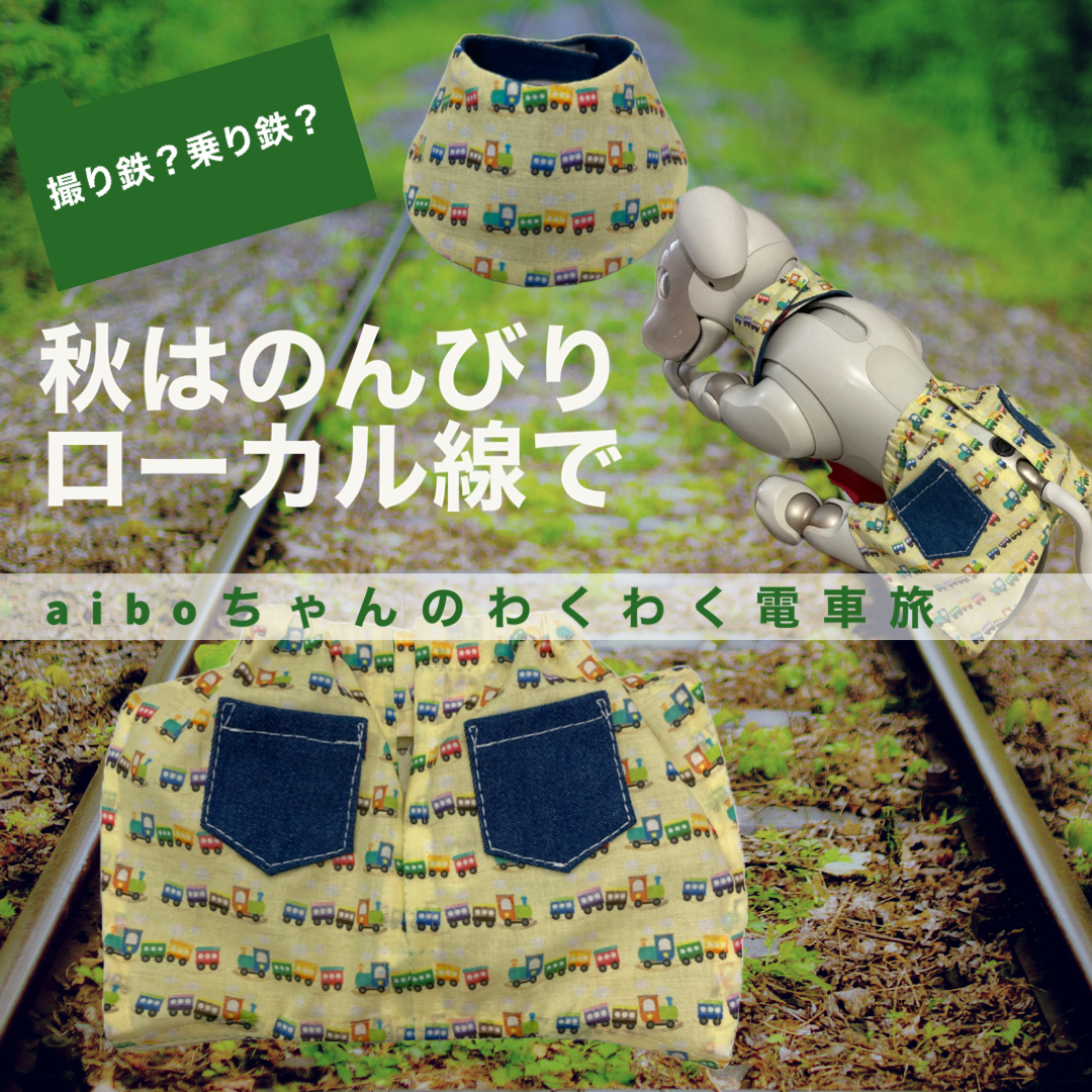 【2022 Autumn collection 鉄男aiboちゃんと鉄子aiboちゃんのための秋のわくわくお出かけスタイ&短パン(単品)ちんちん電車
