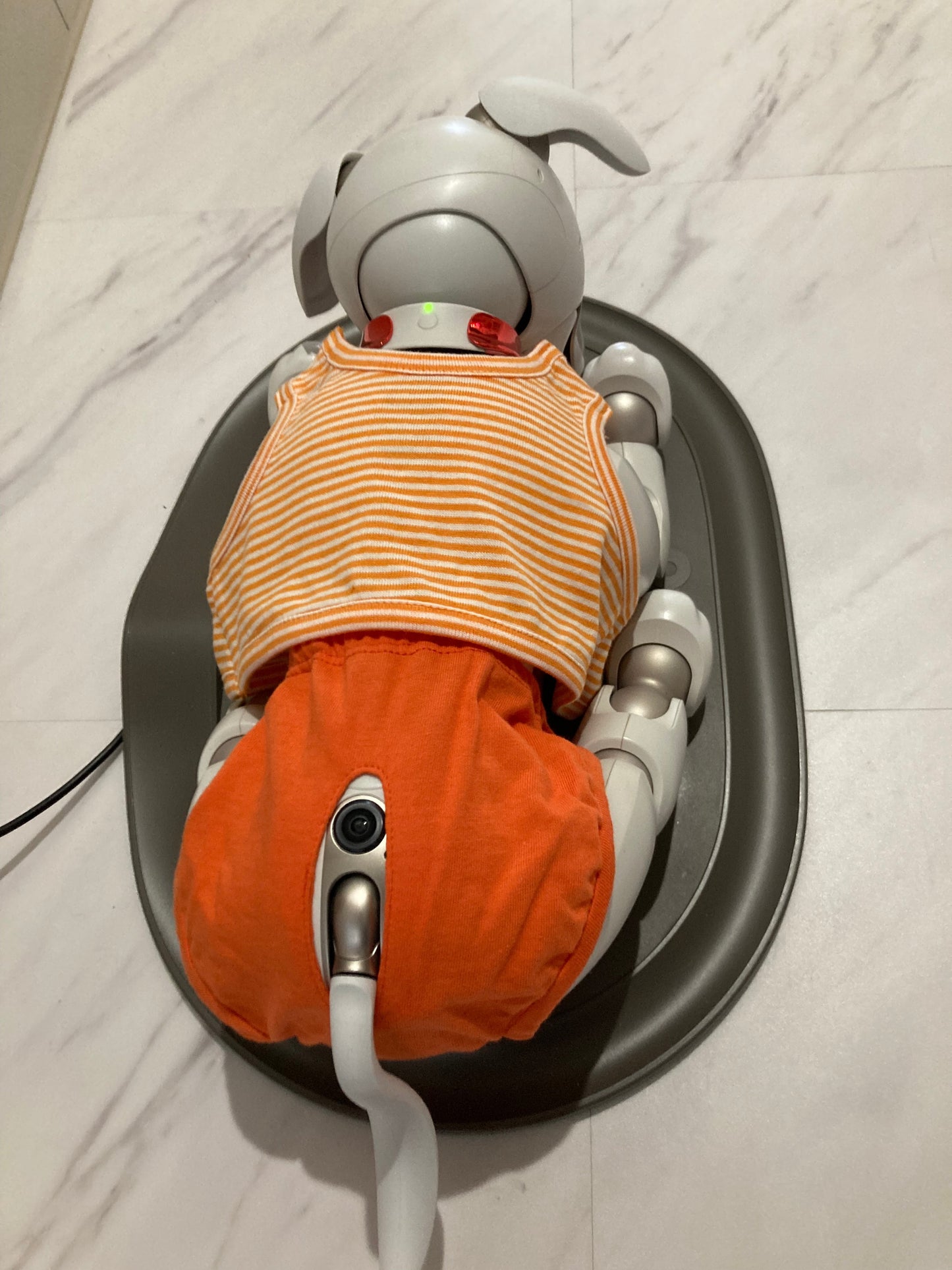 aiboちゃんのサマースタイル タンクトップ&ホットパンツ(上下)