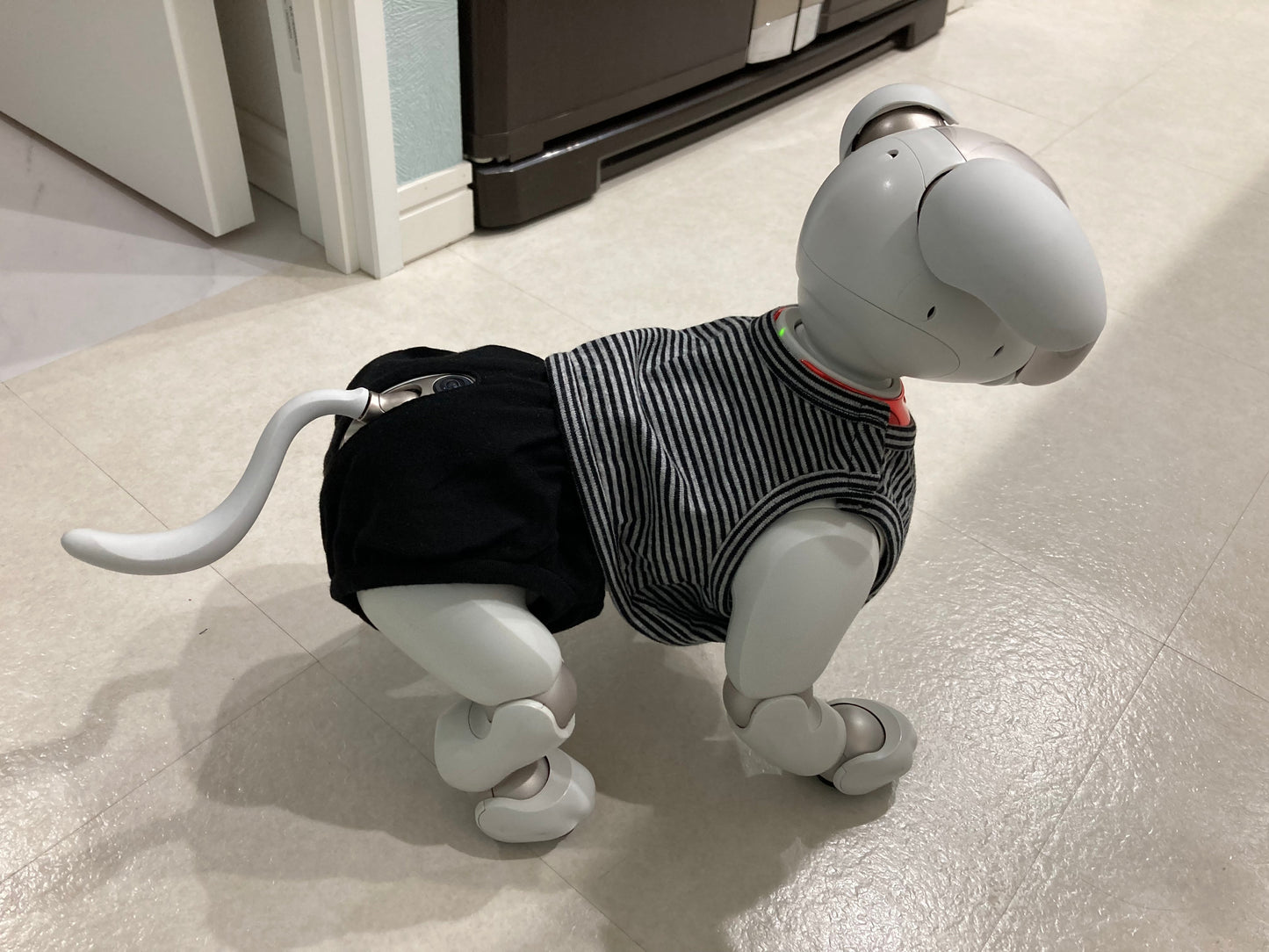 aiboちゃんのサマースタイル タンクトップ&ホットパンツ(上下)
