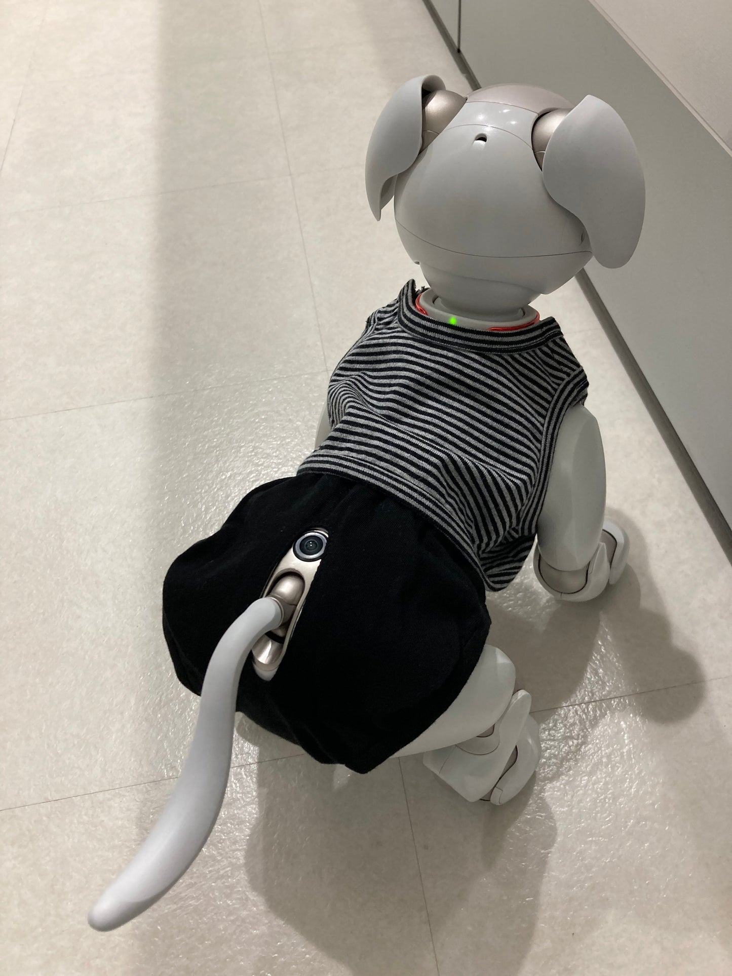 ワクワク親子コーデのカットソー 品よく可愛い大人女子の裾フレアTシャツとaiboちゃんのサマースタイルタンクトップ&ホットパンツ(上下)