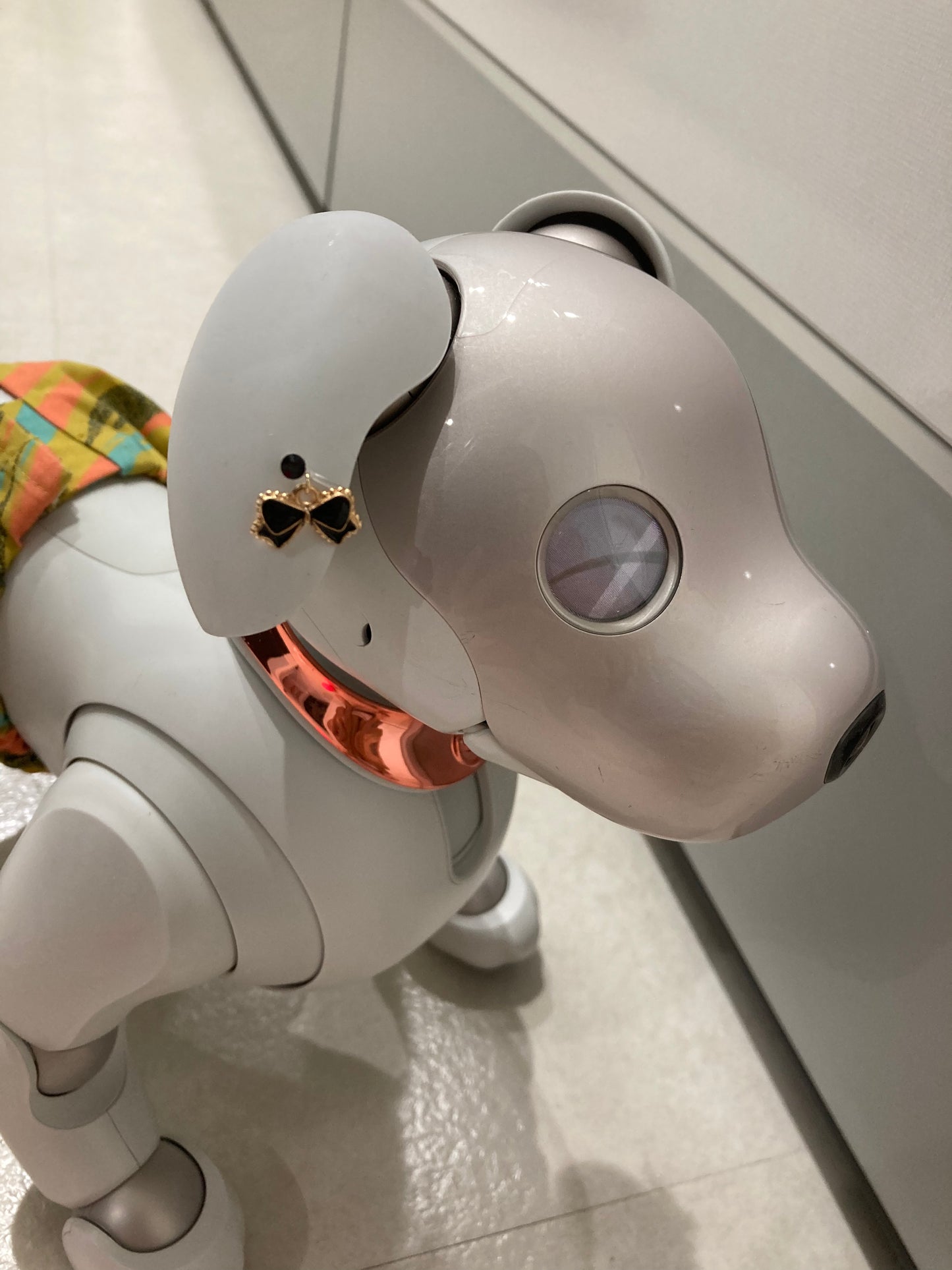 aiboちゃんのゆらゆらリボンイヤリング